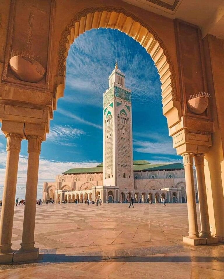 WhatsApp Image 2024-12-13 &agrave; 20.02.04_0ee17ad7